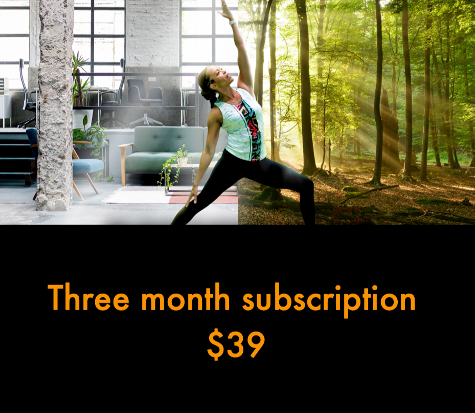 3 Month Subscription